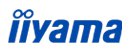 Iiyama