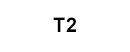 T2